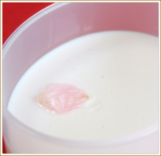 ������v����